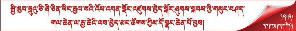 སྤྱི་ཁྱབ་ཧྲུའུ་ཅི་ཞི་ཅིན་ཕིང་རྒྱལ་སའི་འོས་འགན་སྡོང་འཛུགས་བྱེད་སྒོར་ཞུགས་སྐབས་ཀྱི་གསུང་བཤད་གལ་ཆེན་ལ་རྒྱ་ཆེའི་ལས་བྱེད་མང་ཚོགས་ཀྱིས་དོ་སྣང་ཆེན་པོ་བྱས།