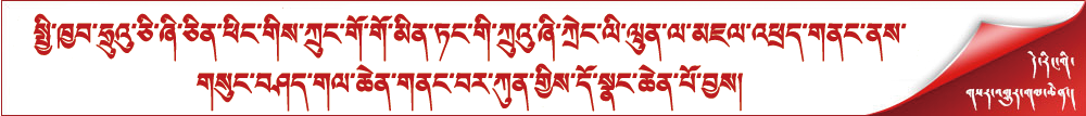 སྤྱི་ཁྱབ་ཧྲུའུ་ཅི་ཞི་ཅིན་ཕིང་གིས་ཀྲུང་གོ་གོ་མིན་ཏང་གི་ཀྲུའུ་ཞི་ཀྲེང་ལི་ཝུན་ལ་མཇལ་འཕྲད་གནང་ནས་གསུང་བཤད་གལ་ཆེན་གནང་བར་ཀུན་གྱིས་དོ་སྣང་ཆེན་པོ་བྱས།