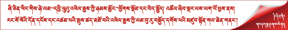 ཞི་ཅིན་ཕིང་གིས་ཉེ་ལམ“དབྱི་ཝུའུ་འཕེལ་རྒྱས་ཀྱི་ཉམས་མྱོང”ཕྱོགས་སྡོམ་དང་བེད་སྤྱོད། འཚོལ་ཞིབ་སྔར་ལས་ཡག་པོ་བྱས་ནས། རང་སོ་སོའི་དོན་དངོས་དང་འཚམ་པའི་སྤུས་ཚད་མཐོ་བའི་འཕེལ་རྒྱས་ཀྱི་ལམ་བུ་རུ་བསྐྱོད་དགོས་པའི་མཛུབ་སྟོན་གལ་ཆེན་གནང་།