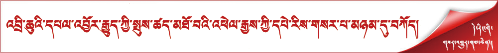 འབྲི་ཆུའི་དཔལ་འབྱོར་རྒྱུད་ཀྱི་སྤུས་ཚད་མཐོ་བའི་འཕེལ་རྒྱས་ཀྱི་དཔེ་རིས་གསར་པ་མཉམ་དུ་བཀོད།