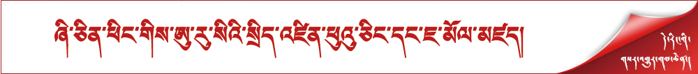 ཞི་ཅིན་ཕིང་གིས་ཨུ་རུ་སིའི་སྲིད་འཛིན་ཕུའུ་ཅིང་དང་ཇ་མོལ་མཛད།