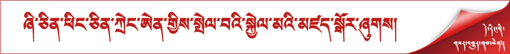ཞི་ཅིན་ཕིང་ཅིན་ཀྲེང་ཨེན་གྱིས་སྤེལ་བའི་སྐྱེལ་མའི་མཛད་སྒོར་ཞུགས།