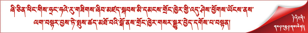 ཞི་ཅིན་ཕིང་གིས་ཧྲང་ཧའེ་རུ་གཟིགས་ཞིབ་མཛད་སྐབས་མི་དམངས་གྲོང་ཁྱེར་གྱི་འདུ་ཤེས་ཕྱོགས་ཡོངས་ནས་ལག་བསྟར་བྱས་ཏེ་སྤུས་ཚད་མཐོ་བའི་སྒོ་ནས་གྲོང་ཁྱེར་གསར་སྒྱུར་བྱེད་དགོས་པ་བསྟན།