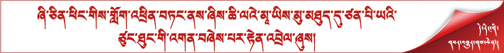 ཞི་ཅིན་ཕིང་གིས་གློག་འཕྲིན་བཏང་ནས་ཞིས་ཆི་ལའེ་མཱ་ཡིས་མུ་མཐུད་དུ་ཙན་པི་ཡའི་ཙུང་ཐུང་གི་འགན་བཞེས་པར་རྟེན་འབྲེལ་ཞུས།