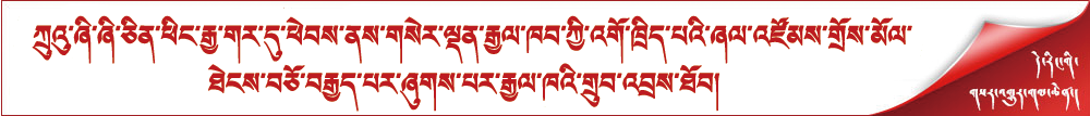 ཀྲུའུ་ཞི་ཞི་ཅིན་ཕིང་རྒྱ་གར་དུ་ཕེབས་ནས་གསེར་ལྡན་རྒྱལ་ཁབ་ཀྱི་འགོ་ཁྲིད་པའི་ཞལ་འཛོམས་གྲོས་མོལ་ཐེངས་བཅོ་བརྒྱད་པར་ཞུགས་པར་རྒྱལ་ཁའི་གྲུབ་འབྲས་ཐོབ།  