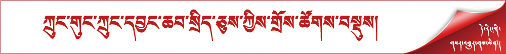 ཀྲུང་གུང་ཀྲུང་དབྱང་ཆབ་སྲིད་ཅུས་ཀྱིས་གྲོས་ཚོགས་བསྡུས།