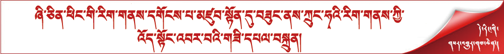ཞི་ཅིན་ཕིང་གི་རིག་གནས་དགོངས་པ་མཛུབ་སྟོན་དུ་བཟུང་ནས་ཀྲུང་ཧྭའི་རིག་གནས་ཀྱི་འོད་སྟོང་འབར་བའི་གཟི་དཔལ་བསྐྲུན།