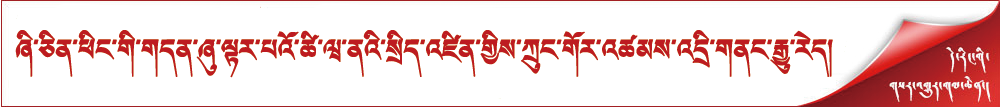 ཞི་ཅིན་ཕིང་གི་གདན་ཞུ་ལྟར་པའོ་ཚི་ཝ་ནའི་སྲིད་འཛིན་གྱིས་ཀྲུང་གོར་འཚམས་འདྲི་གནང་རྒྱུ་རེད། 