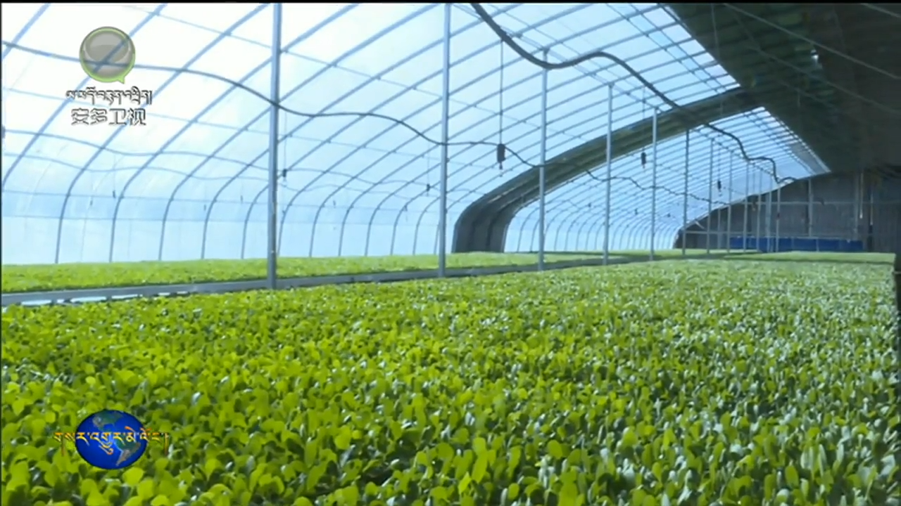 མིན་ཧོ་རྫོང་གིས་གྲང་འཁྱག་སྔོ་ཚལ་ལ་བརྟེན་ནས་ཡོང་འབབ་འཕར་བར་སྐུལ་འདེད་བཏང་།