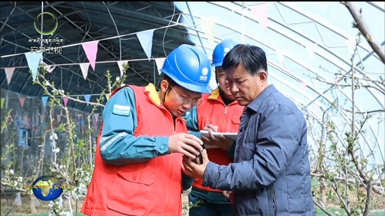 རྒྱལ་ཁབ་གློག་དྲ་མཚོ་སྔོན་གློག་ཤུགས་ཀྱིས་དཔྱིད་འདེབས་ཞིང་ལས་ཀྱི་གློག་སྤྱོད་འགན་སྲུང་བྱས།