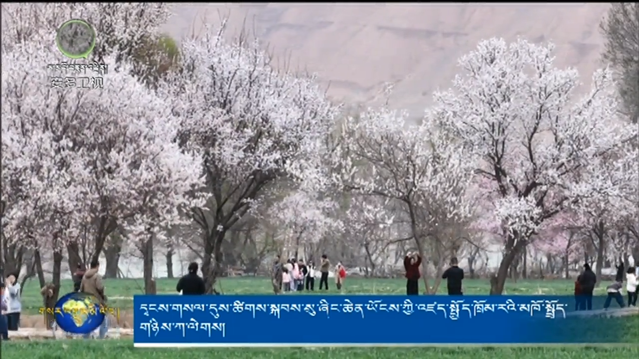 དྭངས་གསལ་དུས་ཚིགས་སྐབས་སུ་ཞིང་ཆེན་ཡོངས་ཀྱི་འཛད་སྤྱོད་ཁྲོམ་རའི་མཁོ་སྤྲོད་གཉིས་ཀ་ལེགས།