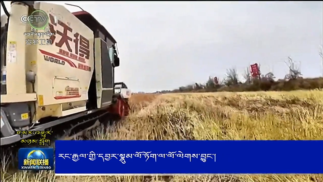 རང་རྒྱལ་གྱི་དབྱར་སྣུམ་ལོ་ཏོག་ལ་ལོ་ལེགས་བྱུང་།