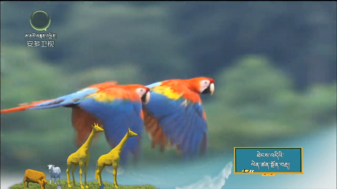 ངོ་མཚར་བའི་རང་བྱུང་ཁམས་ཆེན་མོ།